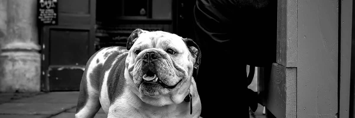 Bathing and Grooming