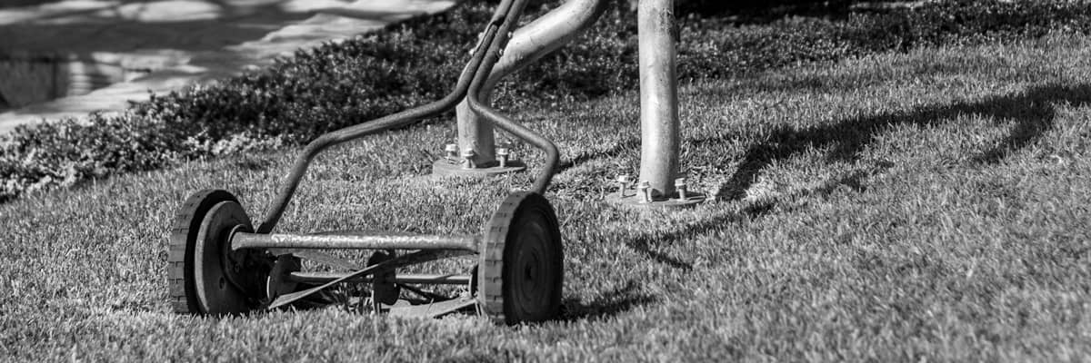 Become a Lawn Artist